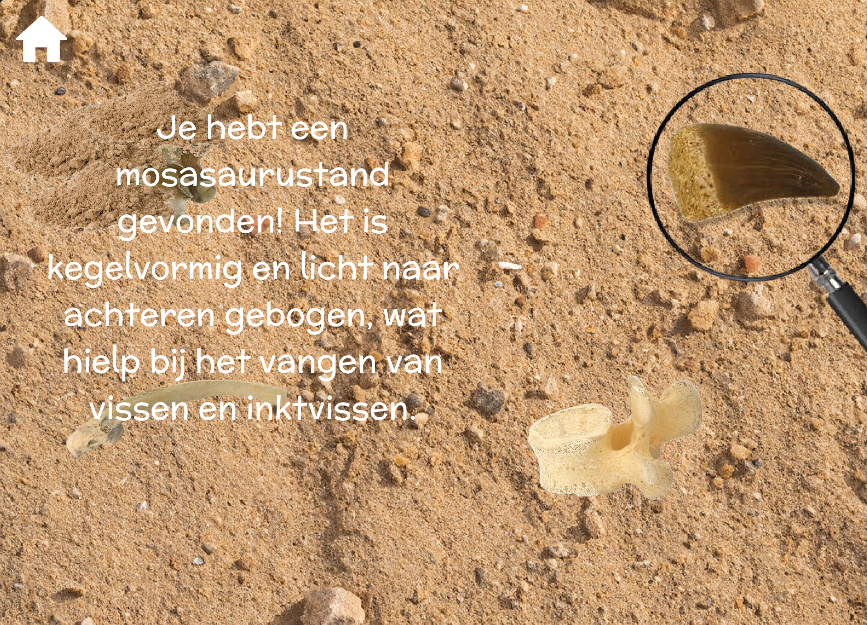 eerste prototype img