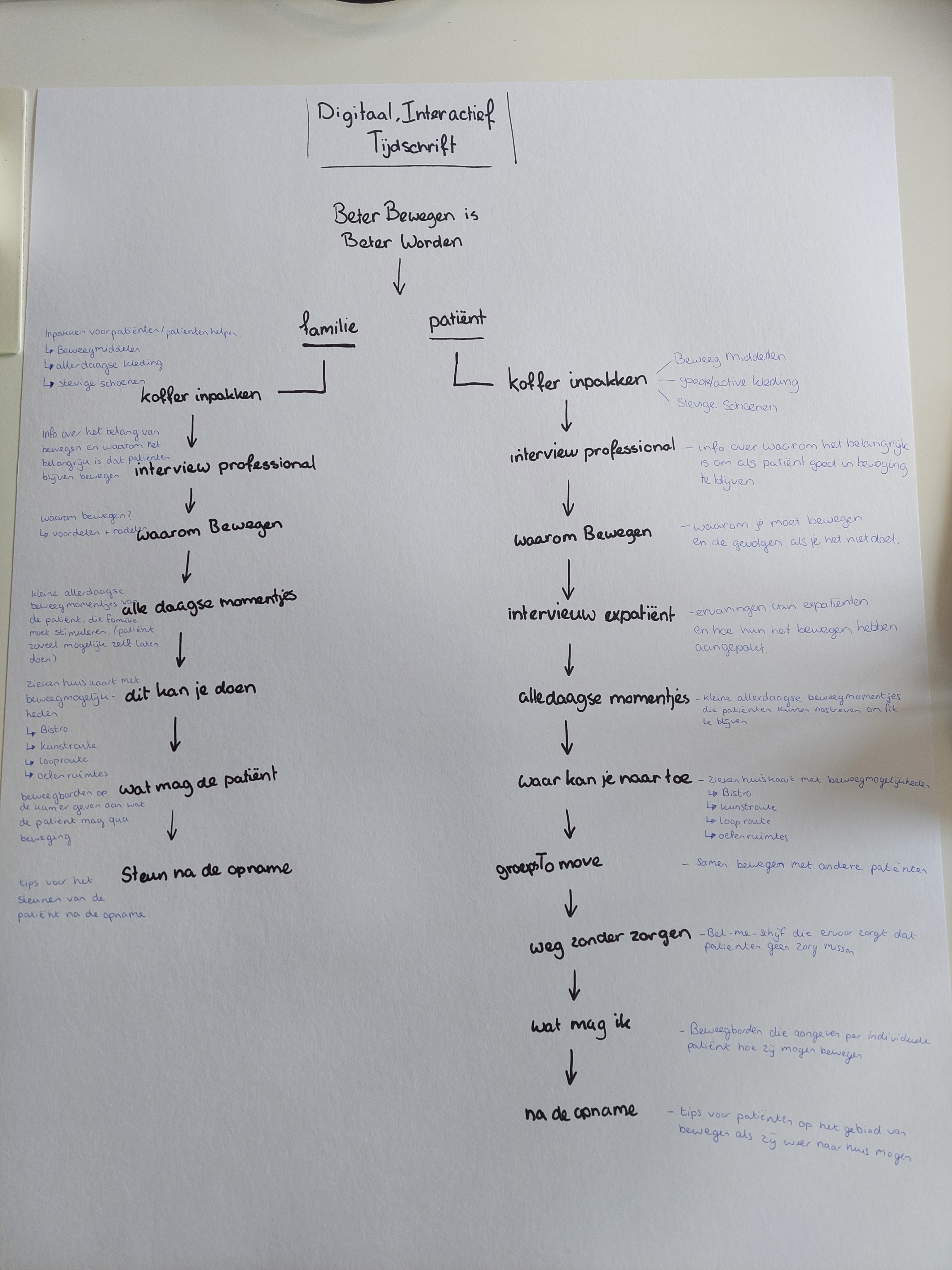 inhoudelijke schematische weergave multimediastory