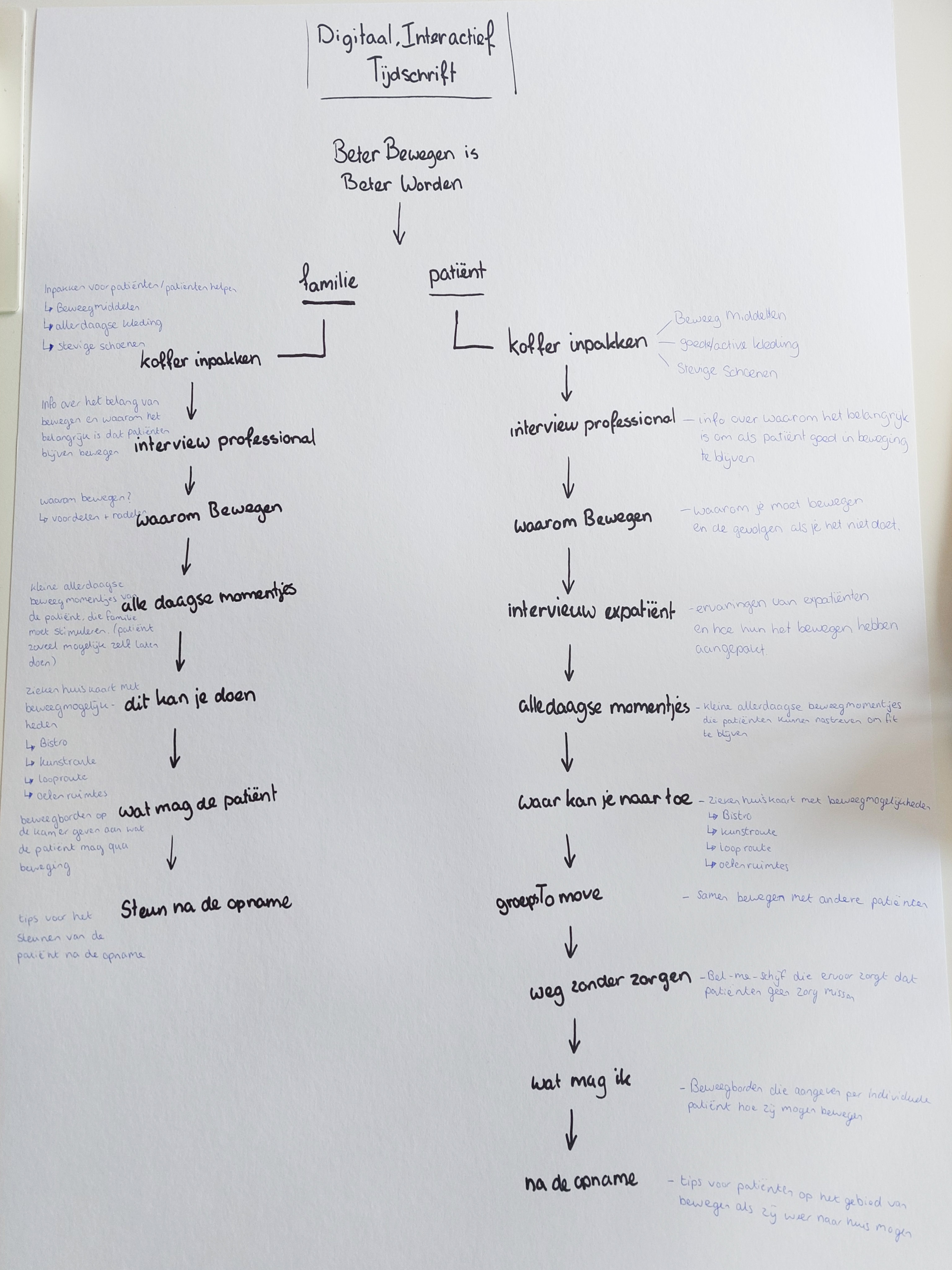 inhoudelijke schematische weergave multimediastory